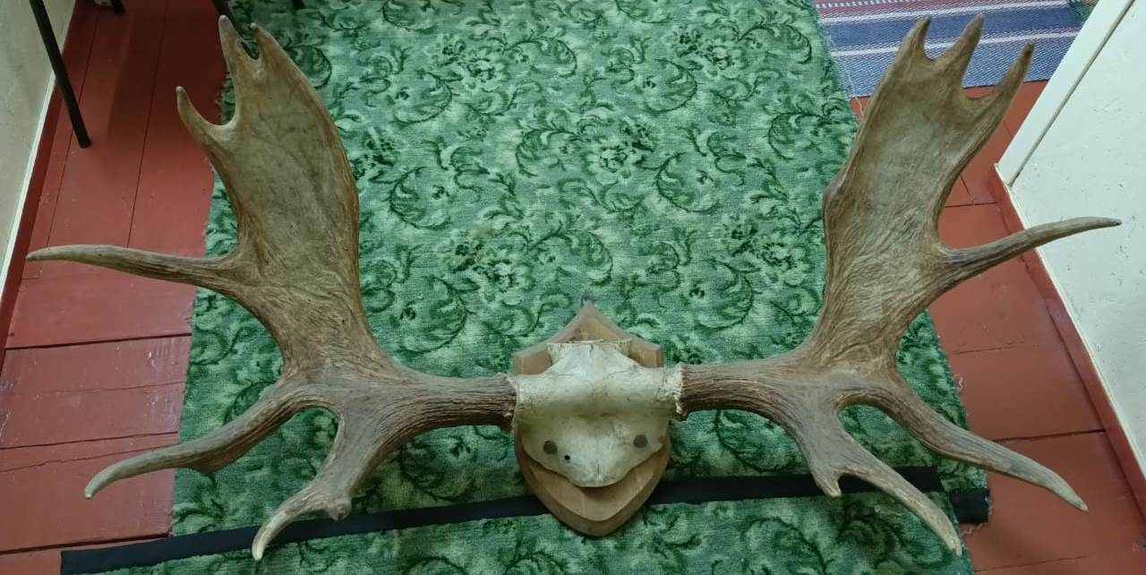 WhatsApp Image 2025-03-17 at 04.15.37