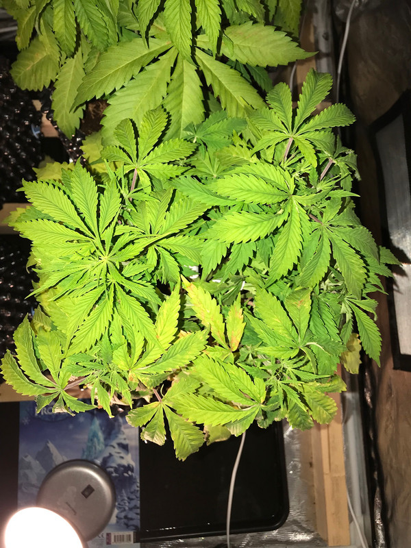 D499D038-298A-4C28-B417-D4436C54505A