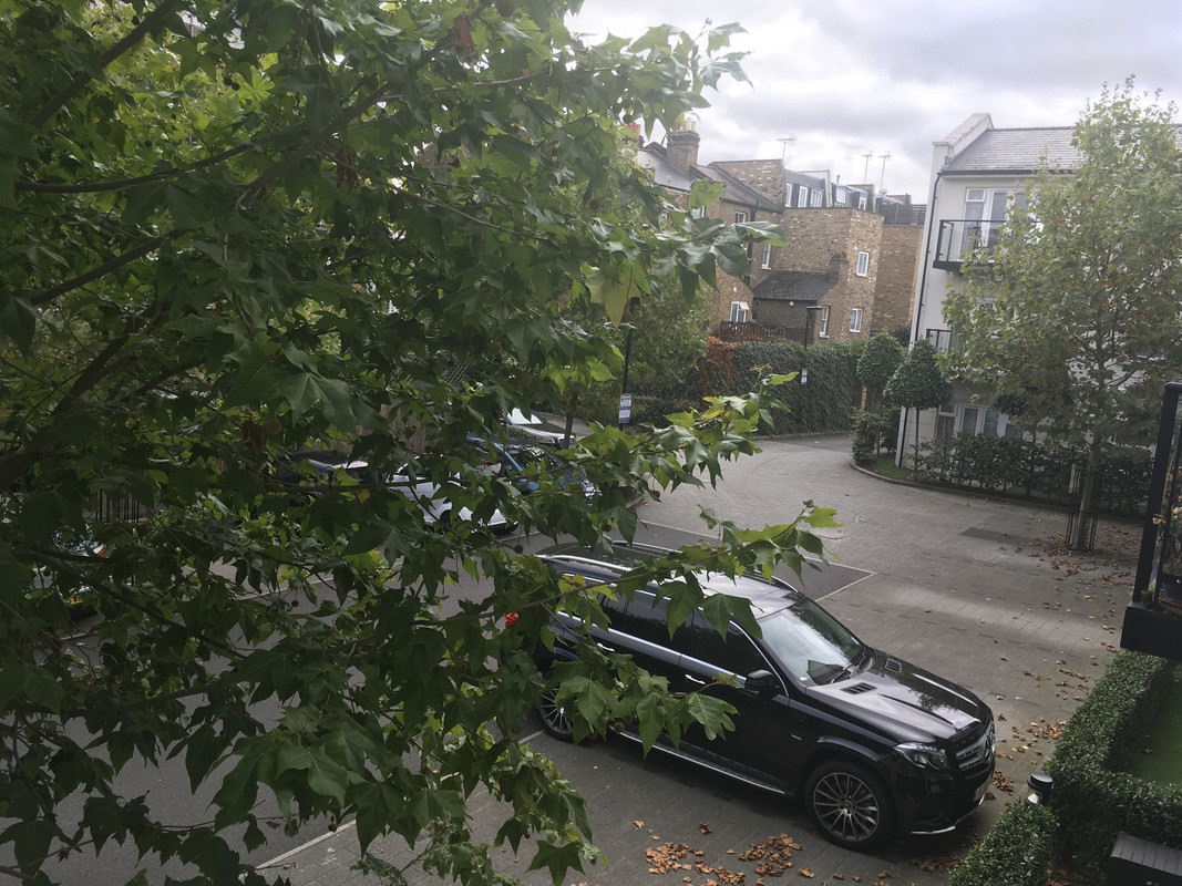 D316AD57-8B2A-4259-BC62-68BCA1E591DE