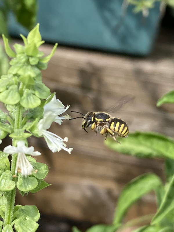 B2925A08-B34B-44F9-A362-619C9D1DCEDC