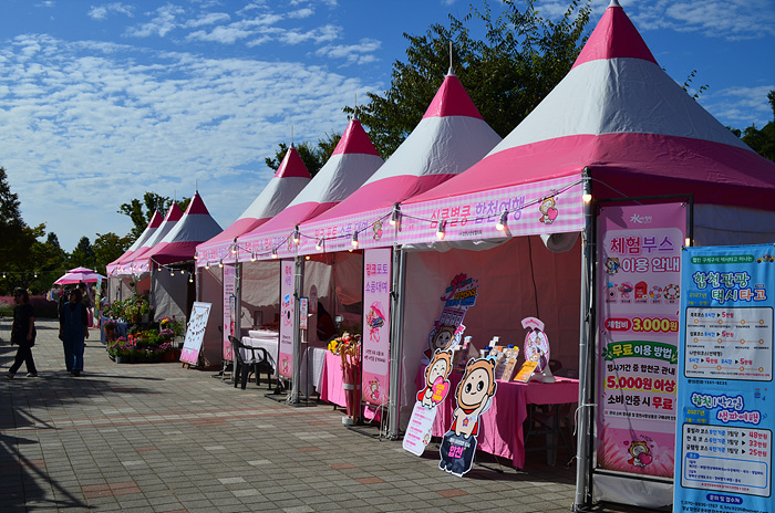 DSC-0730