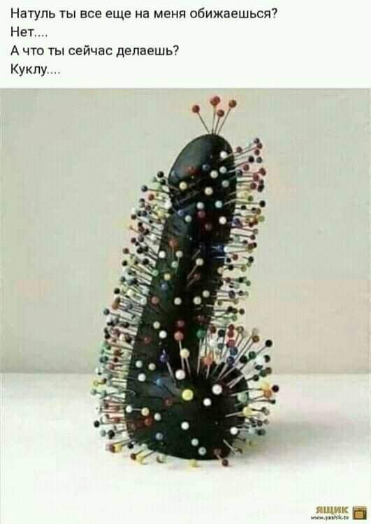 273325552_428926129013203_8895788593549034803_n