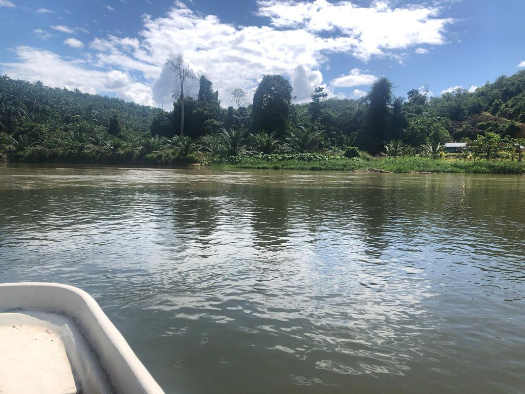 Uniknya Lubuk Pertemuan Di Sungai Perak