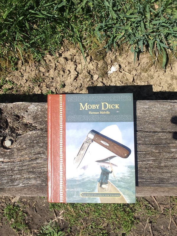 226D4960-346B-46A9-A3D7-3C9372C852D5