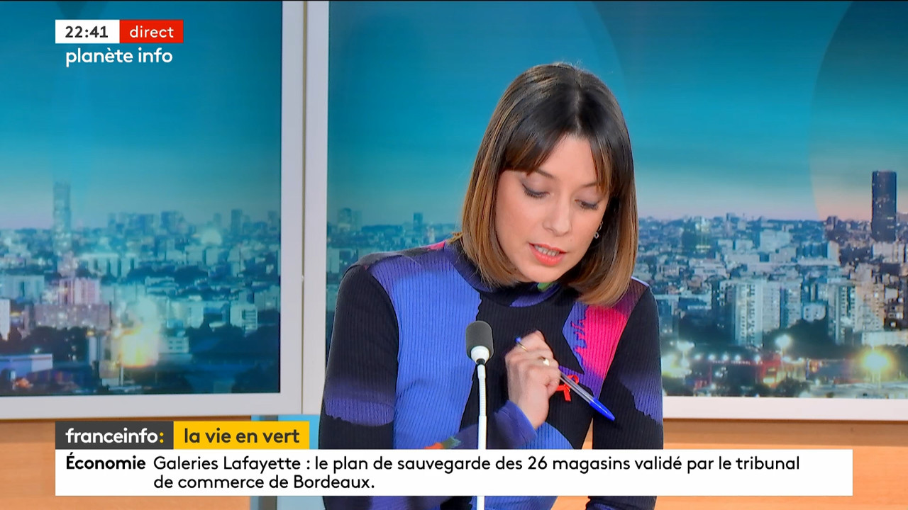 Planète info (Franceinfo)_2024_03_21_20_53_27.ts_snapshot_00.48.45.577