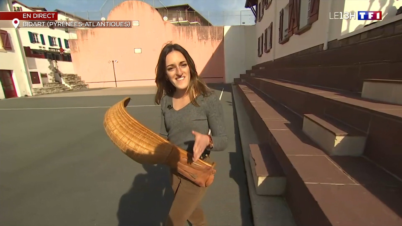 2022-02-03_13_00_TF1_Le-13h.mp4_snapshot_00.28.59.581