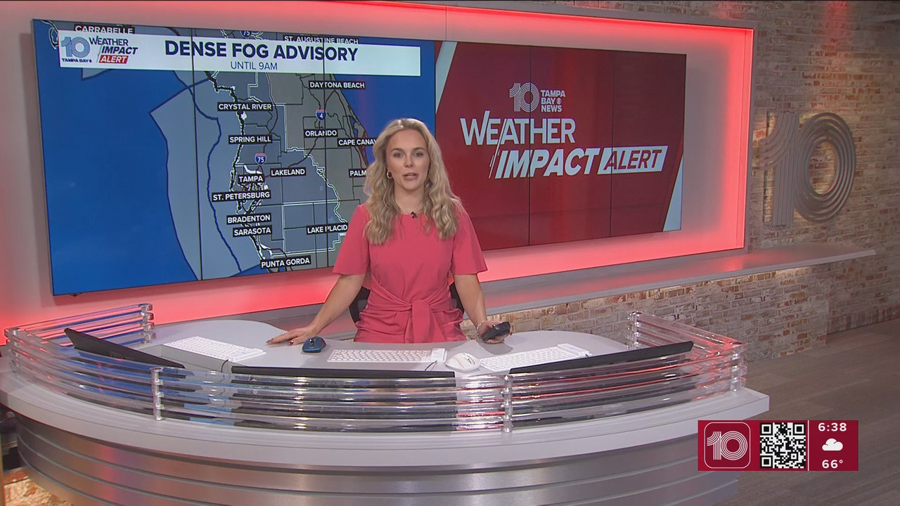 10 Tampa Bay News This Morning at 600 a m 20251124 11001200 ts snapshot 40 02 412