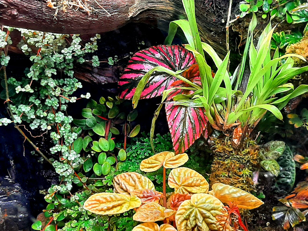 WhatsApp Image 2024-02-27 at 12.15.19 (1)