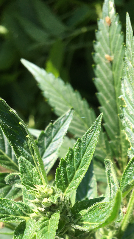 9F97DE67-344E-4DF0-AD82-7092660C3A60