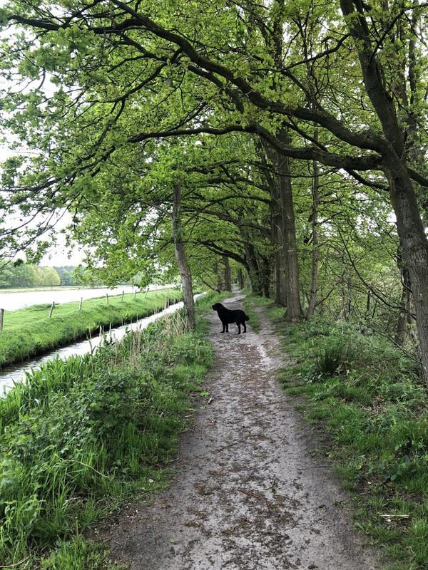 BC3A6AF2-960E-4D3E-BACA-CAE948A0EFDE