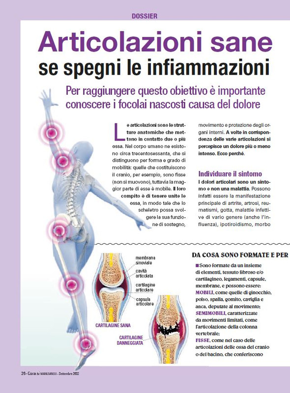 Cur Mang Set 2022 (5)