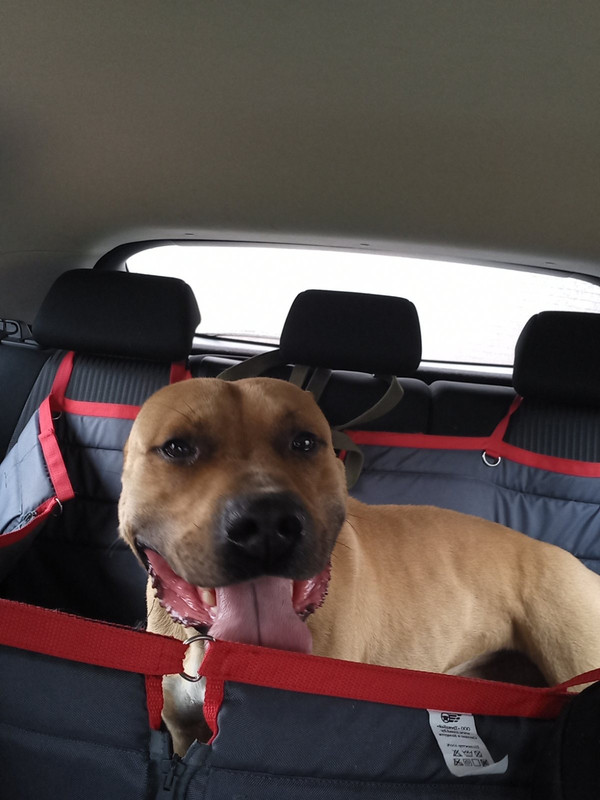 E8994807-566D-467D-9ECD-E1BA28588D18