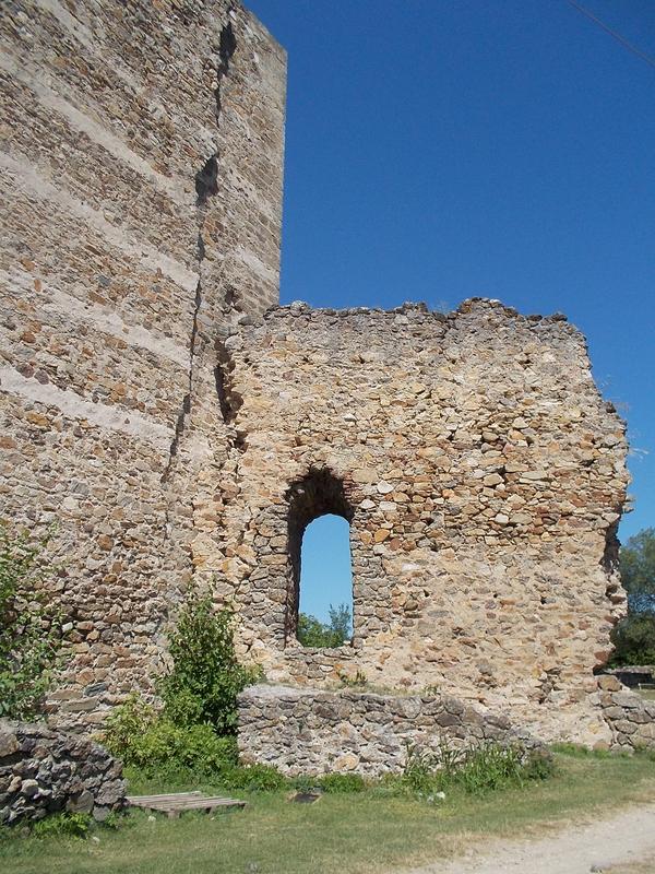 Slika