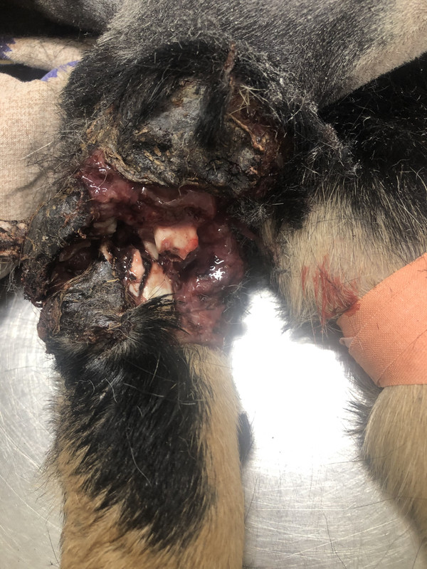 B58689C1-9726-4666-A065-99FD4CB398EA