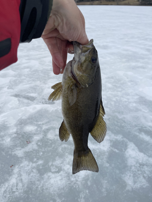 F569CF4E-BF6D-48F7-A263-51CD55AC3268