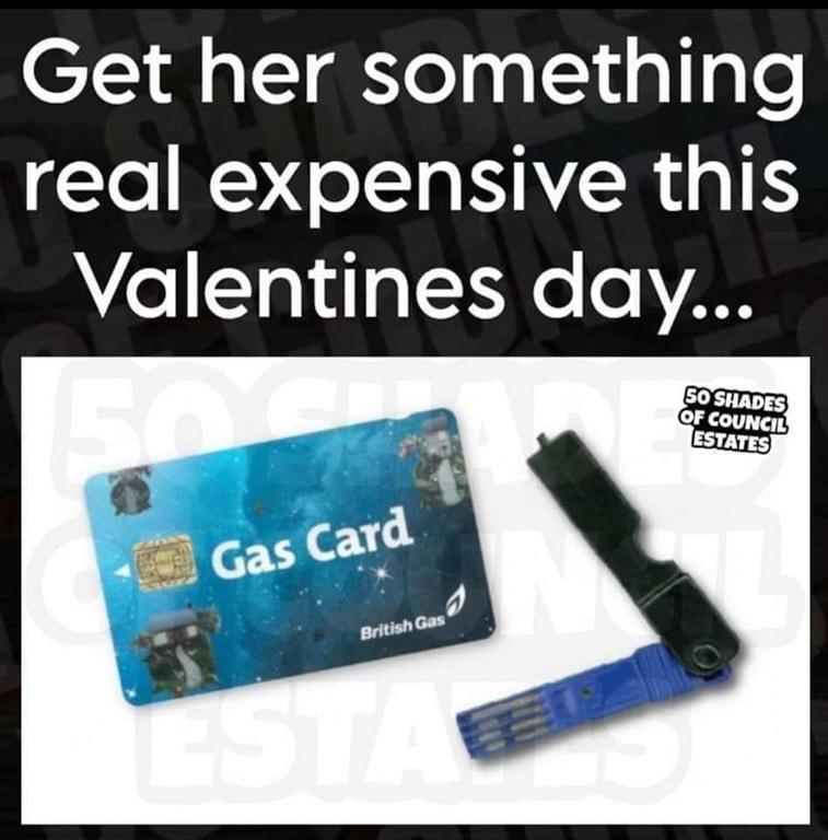 [Image: Image-2.jpg]