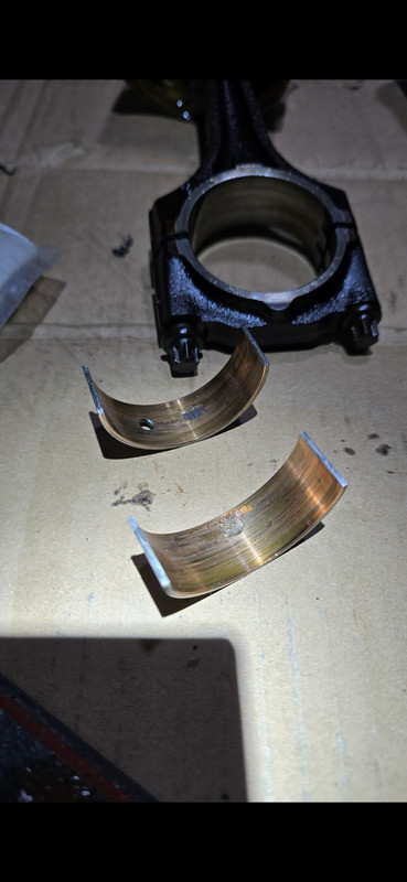 Screenshot 20260218 203732 Gallery