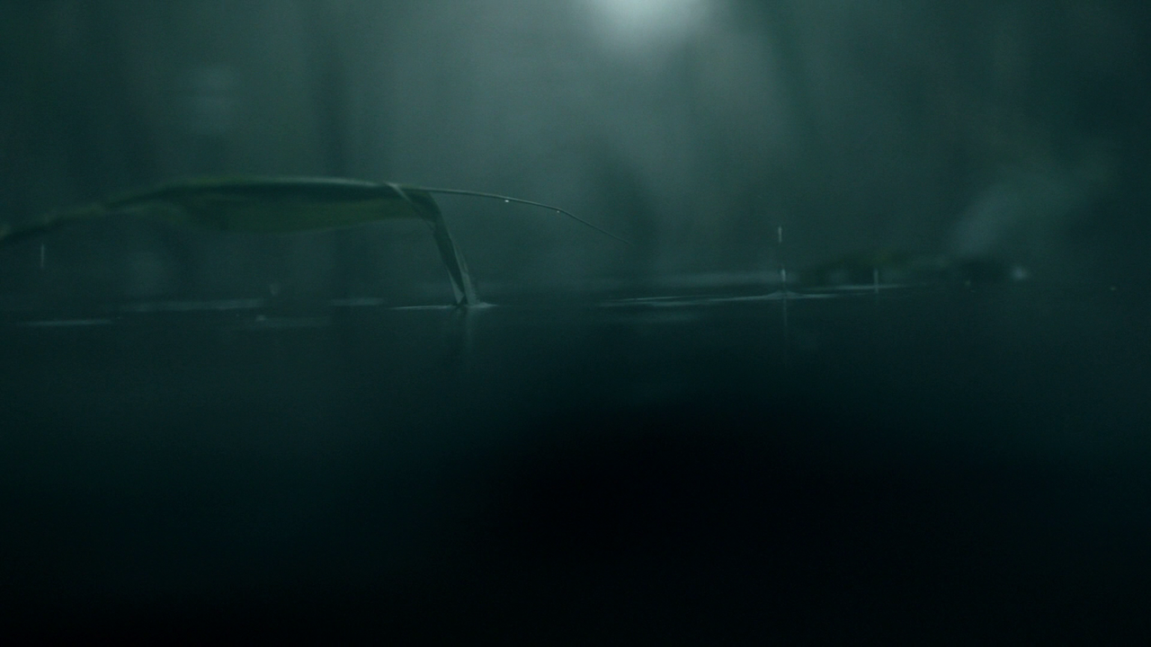 Vikings.S05E01.Il.re.pescatore.1080p.BDMux.ITA.ENG.DD5.1.x264-BlackBit[screenshot 6]