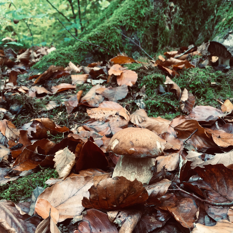 9B02E012-FDFD-408B-A333-AA47E331978D