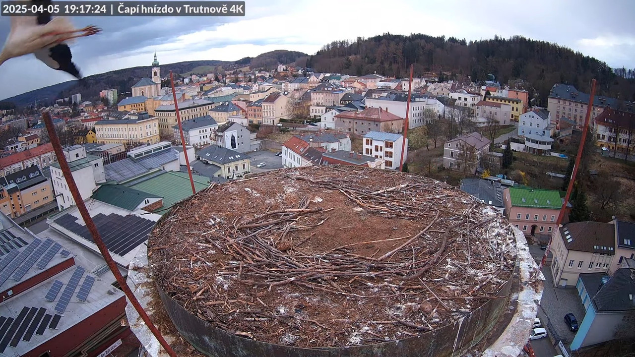 Tiešraidē no stārķa ligzdas uz alus darītavas skursteņa Trutnovā 12-56-14 screenshot (2)