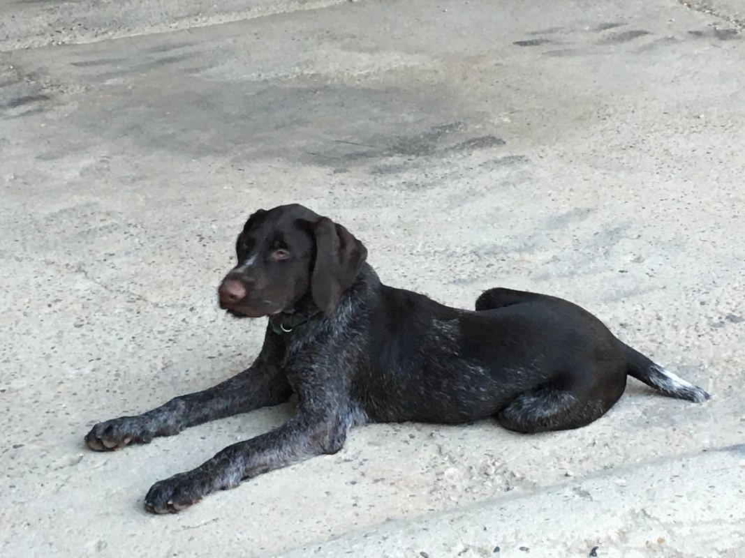 53EADEAE-C370-4CEC-9801-D66F93F6DDEE