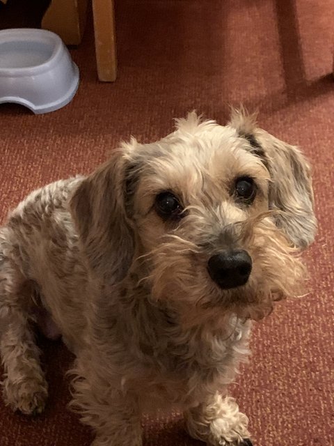 [Image: B16-B9487-DCAE-49-B1-98-DC-5-A3-CB0-F7-D1-B7.jpg]