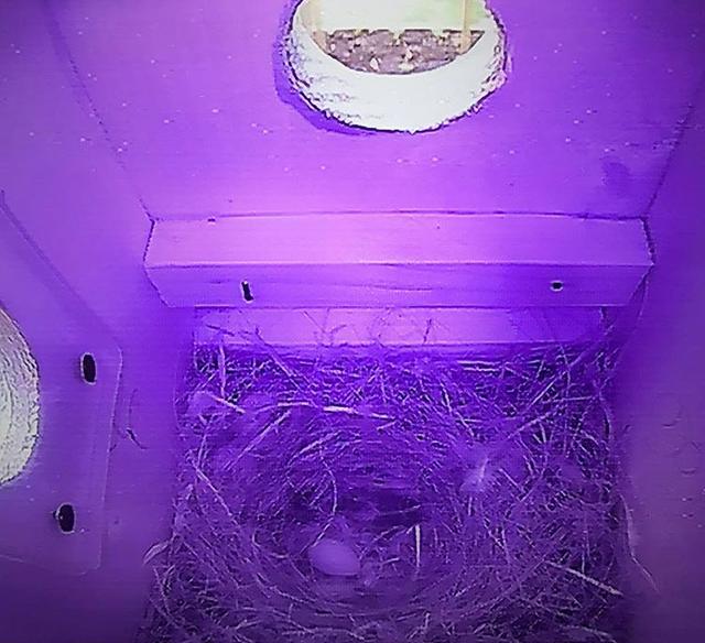 0F01F720-4747-4584-8862-E120D46721A0