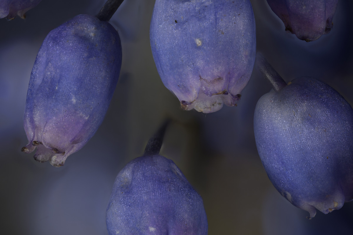 2024-04-21 15-05-39 (B,R8,S4)