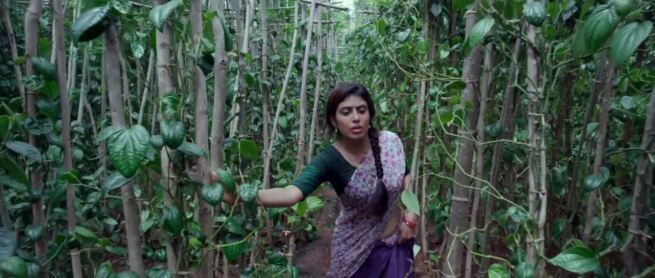 vlcsnap-2025-08-30-19h28m57s212