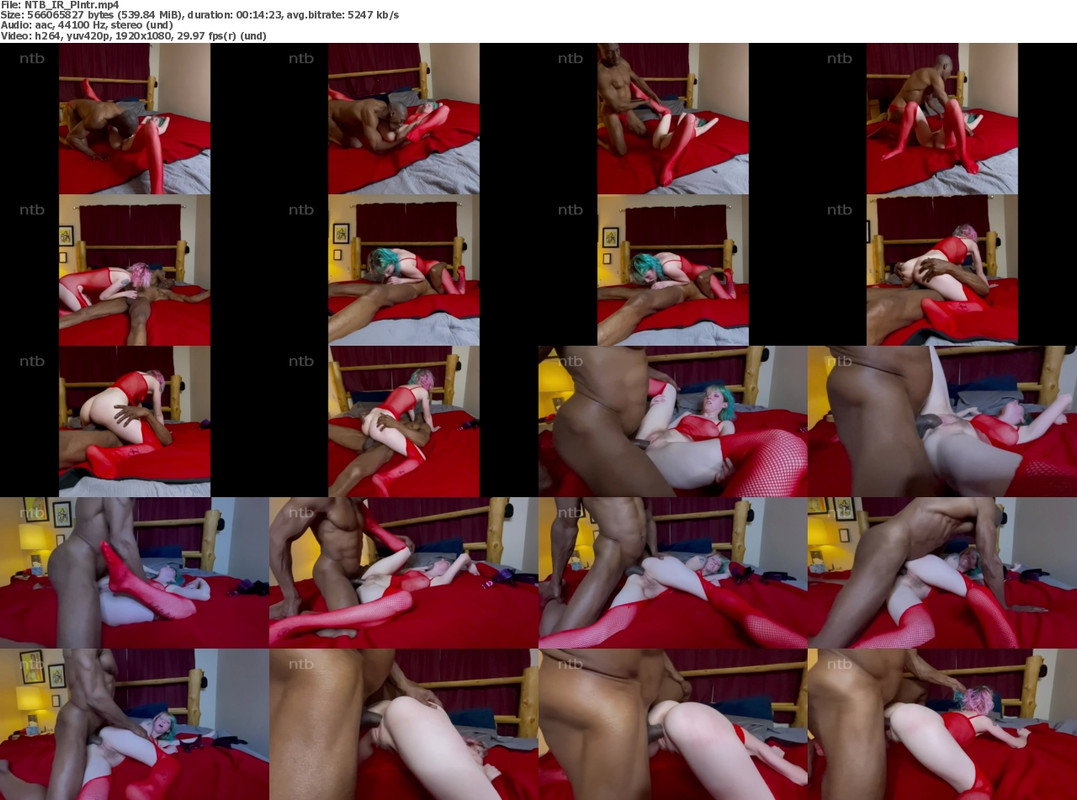 13102023002654screenshot