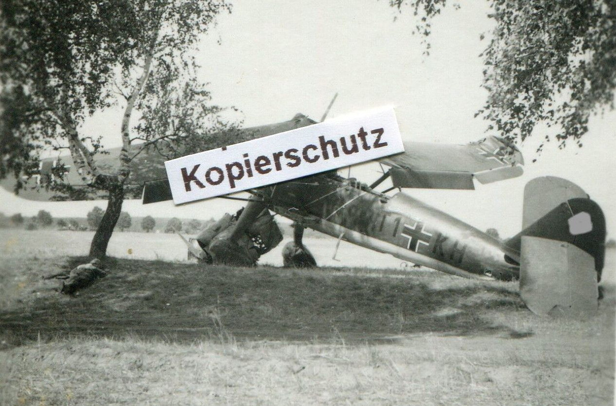 in Oschen Osno Polen (2)