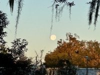 Full moon in Gainesville