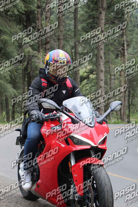IMG 4656 wm 2115685 1999999997 watermarked — Postimages