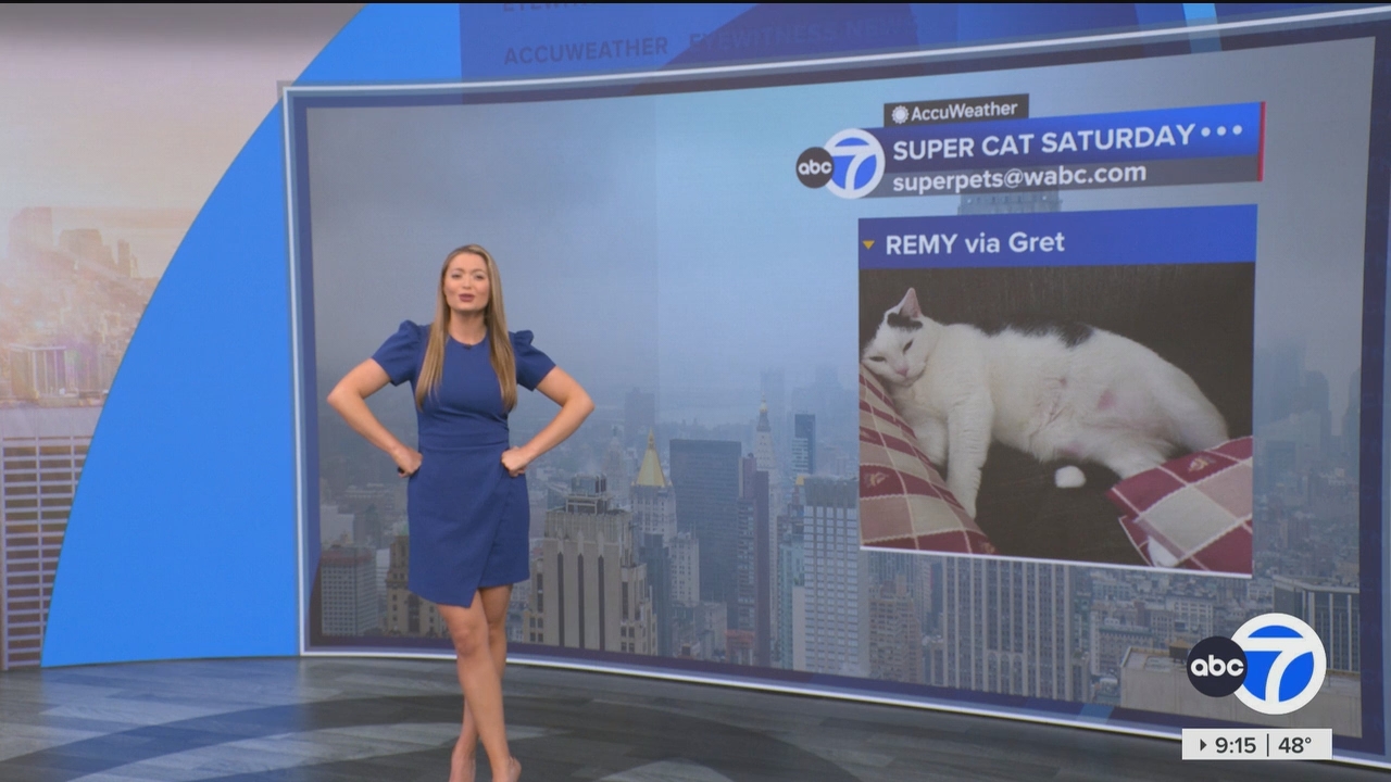 Eyewitness News This Morning_20250322_13001400.ts_snapshot_00.16.23.489