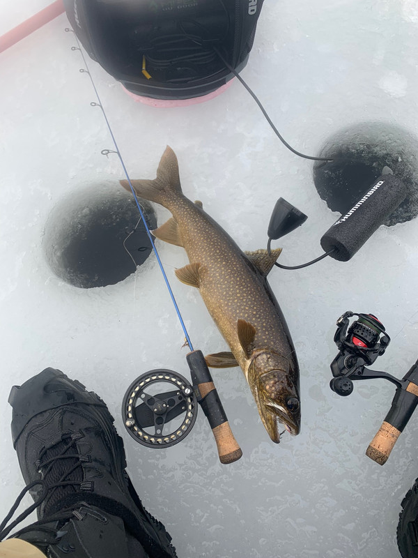 A1C1FE75-67B4-45FA-B741-BD1ABD282117