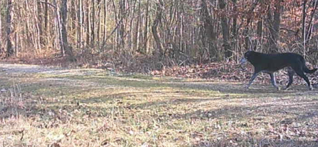 Screenshot_20250128_075317_Gallery