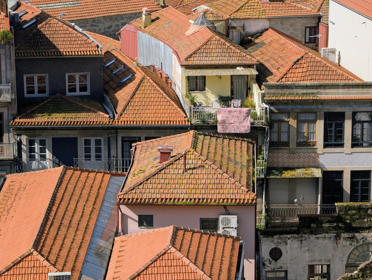 PXL 20260301 115156929 2