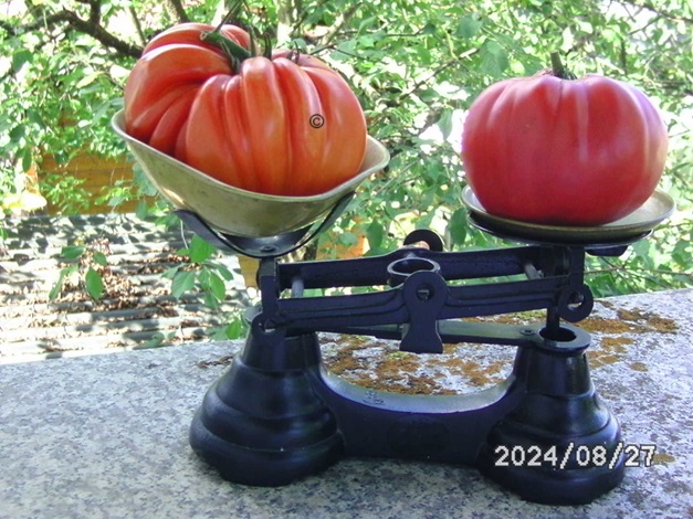 [Bild: BILD0371.jpg]