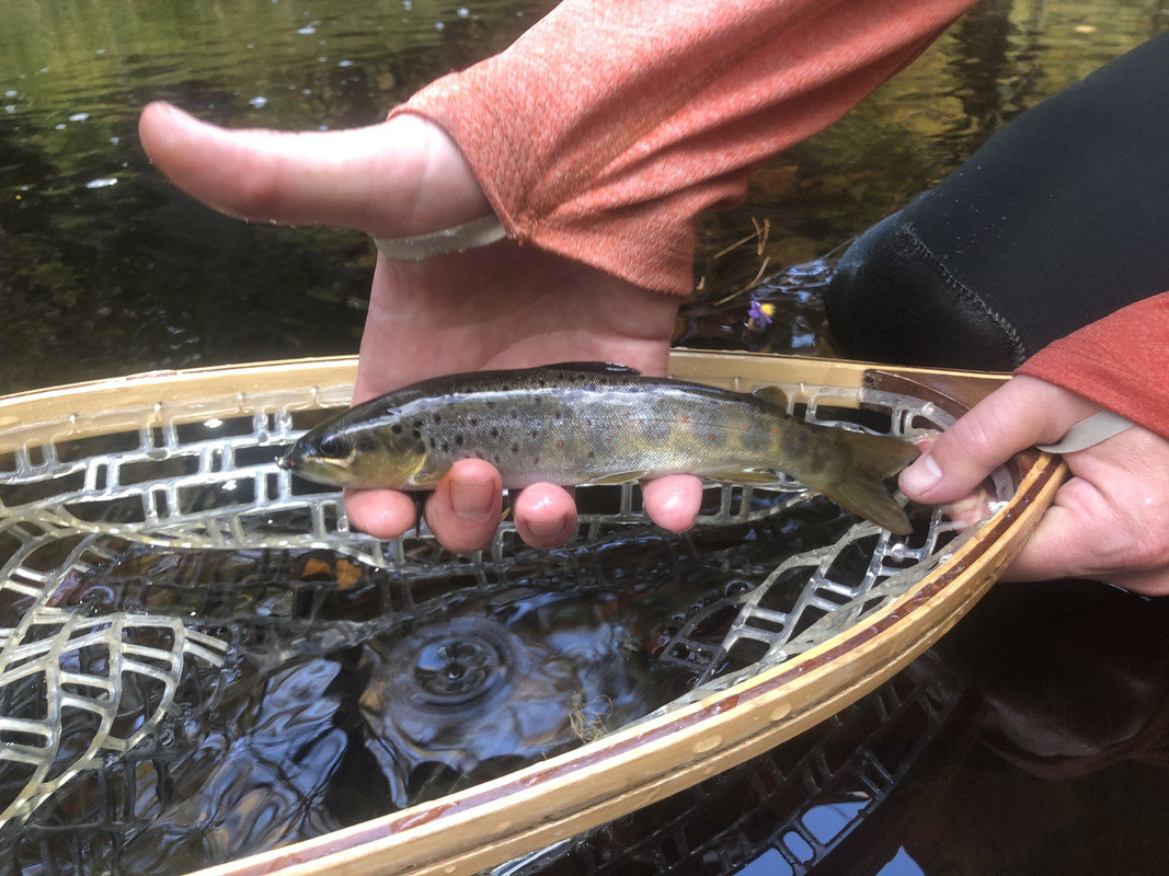 0AAF8DEE-81D7-413E-ABC9-A8996945E1AD