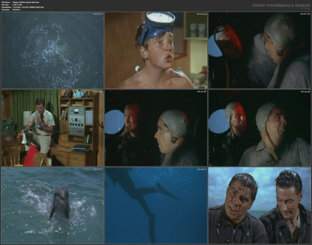 Flipper S03E01 Agent Bud.mkv