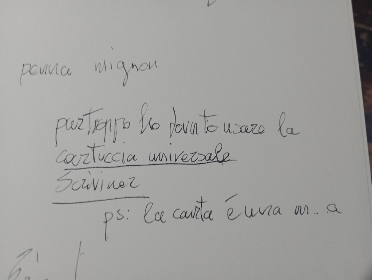 IMG 20260925 180428654 MFNR