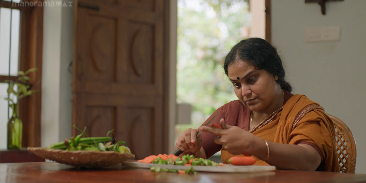 The Other Side 2024 WebRip [Malayalam] 480p, 720p Screenshot