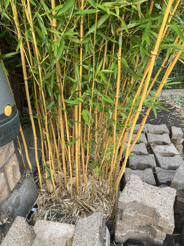 94105DFA-A668-4759-8C0C-924E9964917F