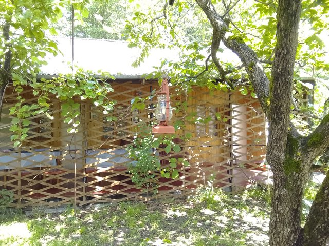 IMG-20230711-124602