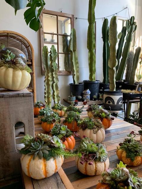 [Image: A8045716-B973-4-D34-B44-D-672-C9-D29-E2-CC.jpg]