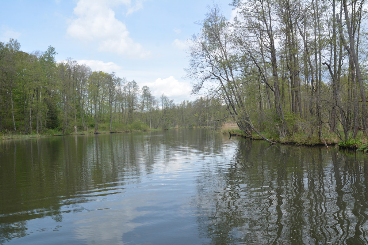 11.22 - DSC_6133 (Ater)