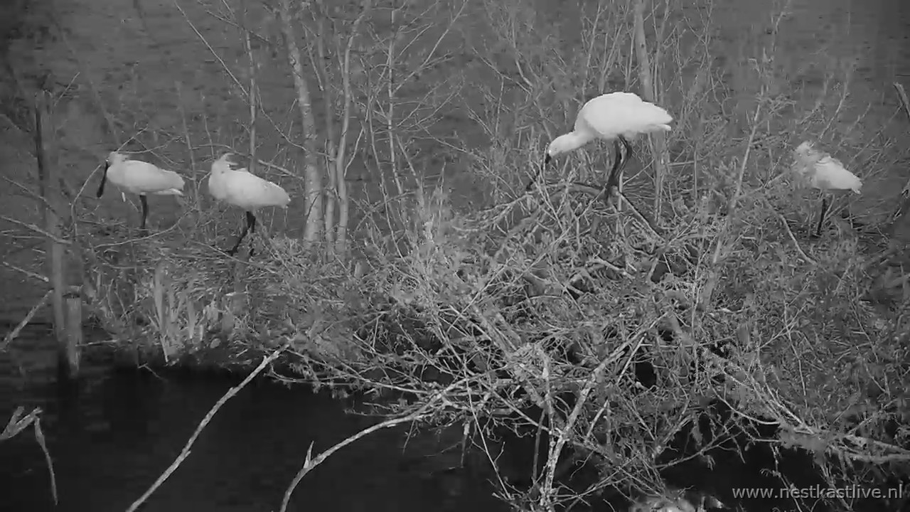 snapshot 2026 04 03T203238 124