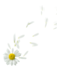 oie-YMv-YWh8mq1-Cu
