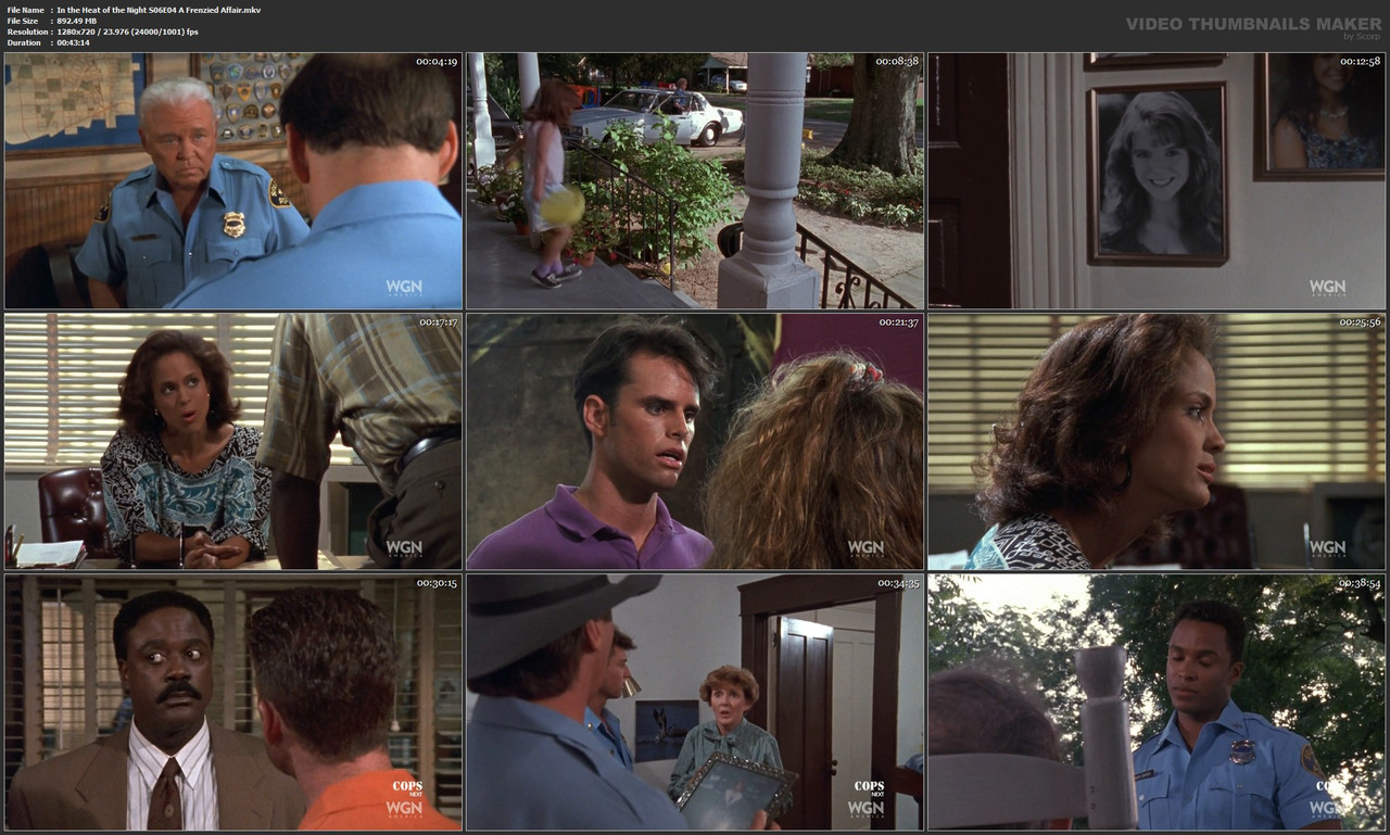 In the Heat of the Night S06E04 A Frenzied Affair.mkv