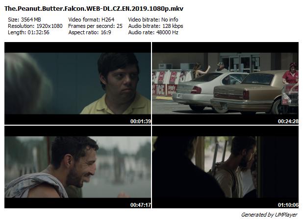 Burákový sokol / The Peanut Butter Falcon (2019)